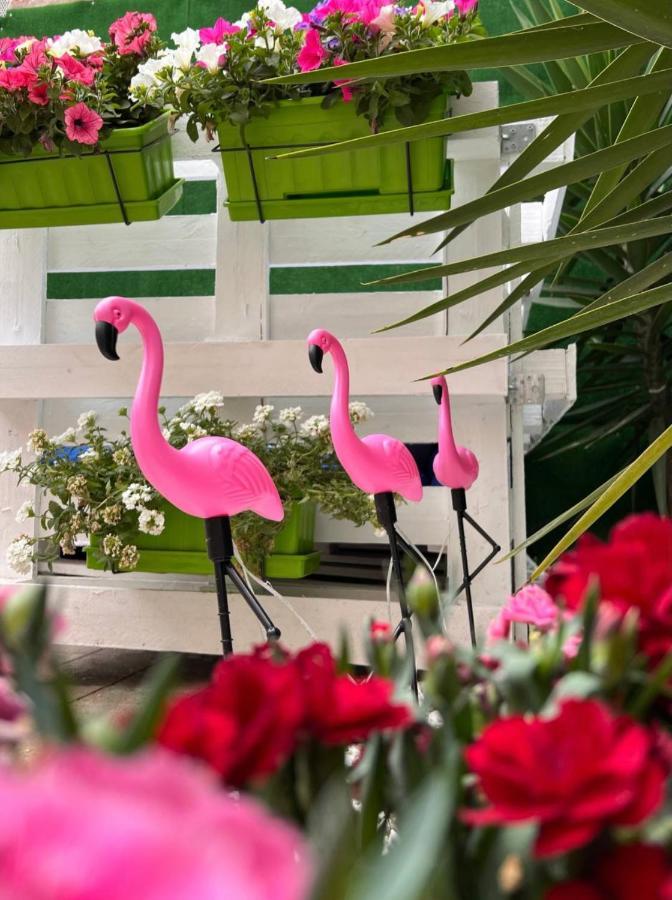 菲盖拉-达福什 Casa Flamingo酒店 外观 照片